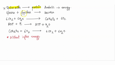 which-of-the-following-metabolic-processes-can-occur-without-a-net-influx-of-energy-from-some-other-processaamino-acids-proteinbglucose-fructose-sucrosec6-co2-6-h2o-c6h12o6-6-o2dadp-pi-atp-h-96809