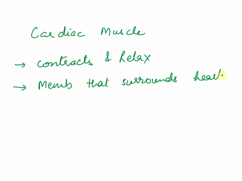 what-type-of-muscle-is-represented-above-which-type-of-image-is-represented-here-muscle-fiber-striations-nucleus-intercalated-disk-20995
