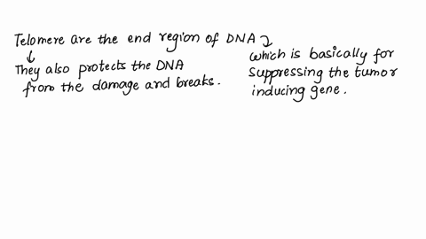 expression-of-recombinant-proteins-in-yeast-is-an-important-tool-for-biotechnology-companies-that-produce-new-drugs-for-human-use-in-an-attempt-to-get-a-new-gene-x-expressed-in-yeast-a-resea-44257