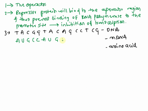 a-in-eukaryotic-cells-repressor-proteins-attached-to-a-region-of-dna-called-__________________-b-briefly-describe-what-effect-repressor-proteins-have-on-the-process-of-transcription-c-consid-49005