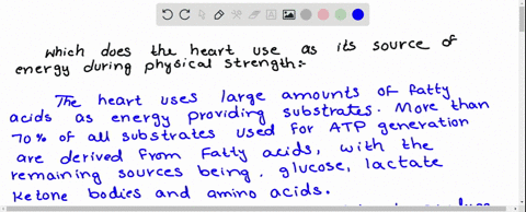 which-does-the-heart-use-as-its-source-of-energy-during-physical-stress-select-all-that-apply-aminoacid-glucose-lactic-acid-fatty-acid-aminoacid-68807