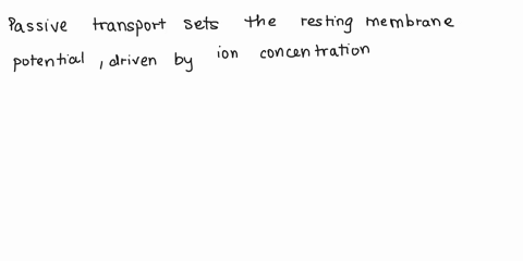 explain-how-active-and-passive-transport-are-involved-in-the-creation-of-an-action-potential-59591