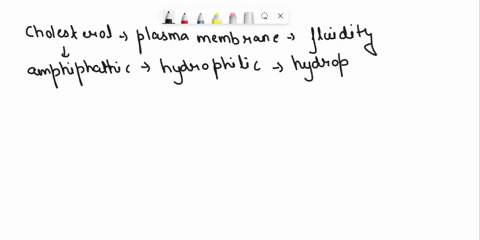 a-primary-function-of-cholesterol-in-the-plasma-membranes-of-some-animals-is-to-a-make-the-membrane-more-rigid-allowing-it-to-resist-pressure-from-outside-the-cell-b-facilitate-the-removal-o-91778