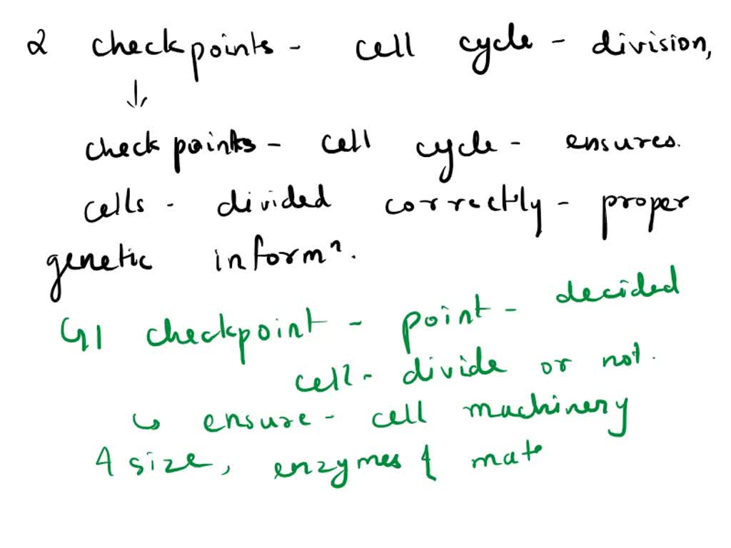 SOLVED The checkpoints that regulate the cell cycle are Multiple