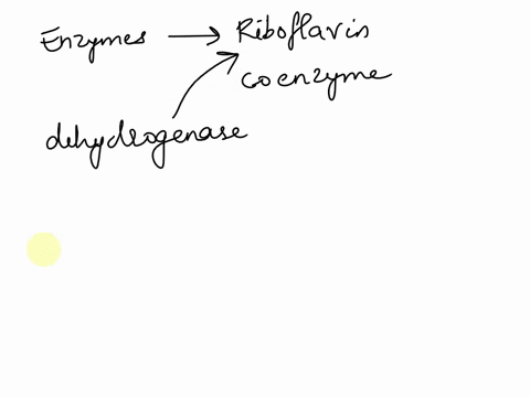 enzymes-listed-below-are-riboflavin-coenzyme-dependent-except-a_-pyruvate-dehydrogenase-pdh-b-succinate-dehydrogenase-in-tca-cycle-c-acyl-coa-dehydrogenase-in-b-oxidation-d-acyl-coa-acetyltr-39847
