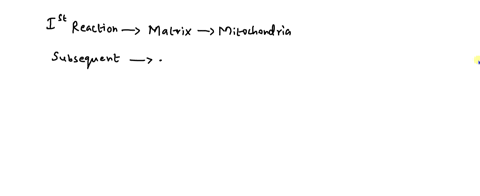 what-is-the-metabolic-role-of-the-urea-cycle-when-does-it-operate-99596