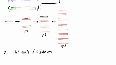 the-polymerase-chain-reaction-pcr-used-by-scientists-amplify-dna-particularly-when-the-quantity-ot-dna-vcty-small-mixed-contaminated-with-other-orgunisms-explain-with-words-the-how-pcr-works-46575
