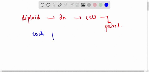 if-an-organism-has-a-diploid-number-20-how-many-chromosomes-will-its-sex-cells-have-43625
