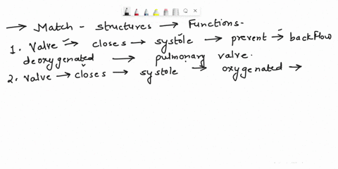 questicn-1-please-match-the-following-structures-with-their-function-valve-that-closes-during-systole-to-prevent-backflow-of-deoxygenated-blood-choose-choose-valve-that-closes-during-systole-04416