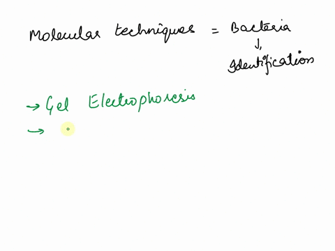 what-are-the-techniques-used-for-molecular-diagnosis-of-bacteria-13079