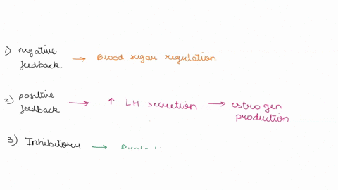provide-the-following-example-with-a-hormone-control-mechanism-eg-negative-feedback-positive-feedback-inhibitory-control-metabolic-control-feed-forward-control-and-circadian-control-during-d-49888