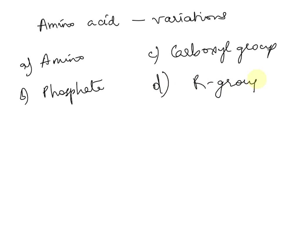 Which Component Makes Each Amino Acid Unique