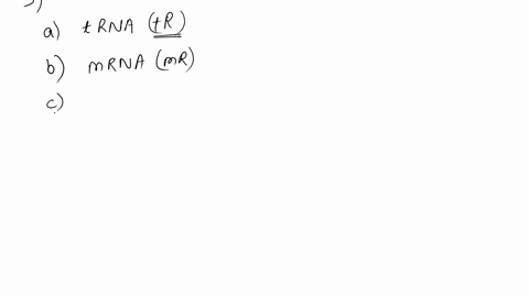 whereas-is-the-process-of-expressing-the-genetic-code-and-ends-in-the-formation-of-protein-label-the-characteristic-or-function-described-with-the-type-of-rna-using-the-following-key-mr-mrna-16159