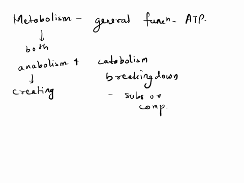 what-is-the-general-function-of-atp-in-metabolism-84923