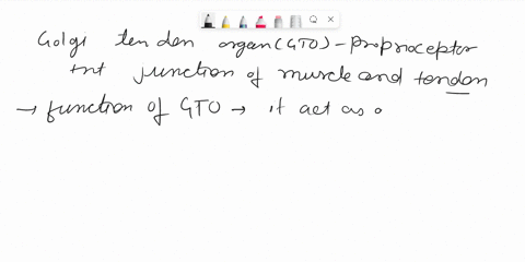 what-is-the-function-of-golgi-tendon-organs-5-37769