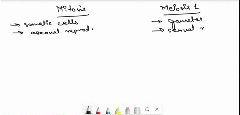 comparison-of-mitosis-with-meiosis-compare-mitosis-and-meiosis-provide-example-tor-each-mitosis-prophase-prophase-similarity-similarity-difference-difference-metaphase-metaphase-similarity-s-56936