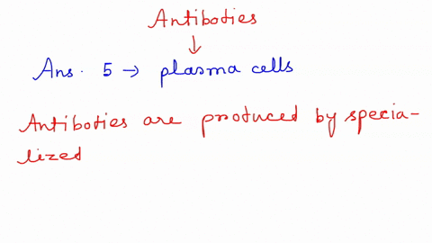 question-58-what-type-of-cells-secrete-antibodies-cytotoxic-t-cells-helper-t-cells-natural-killer-cells-antigen-presenting-cells-plasma-cells-68125