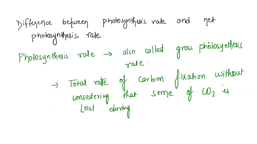 What is the difference between photosynthesis rate and net ...