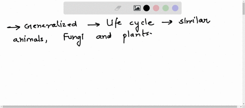 sketch-a-generalized-life-cycle-that-captures-the-similar-features-of-all-animals-fungi-and-plants-32823