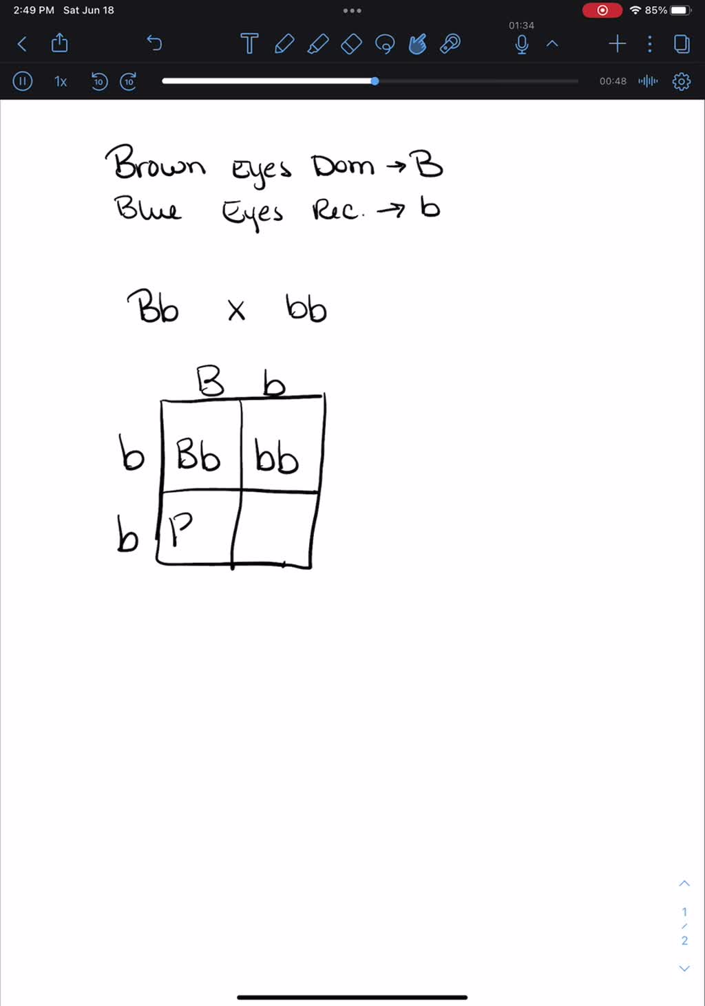 SOLVED: In Humans; Brown Eyes (B) Are Dominant Over Blue Eyes (b ...