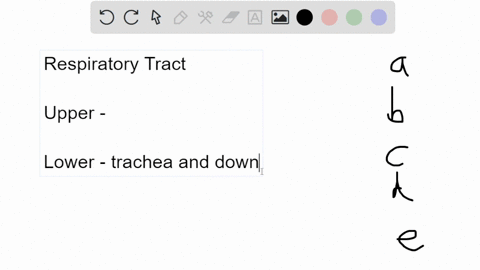 which-of-the-following-is-not-part-of-the-lower-respiratory-tract-bronchi-alveoli-larynx-lungs-trachea-moving-t0-anothar-question-wlli-save-lhis-response-p-j-search-03871