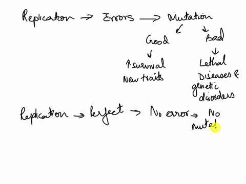 during-dna-replicationerrors-occasionally-occur-when-dna-strands-are-copiedhowevermany-cellular-mechanisms-help-to-rermove-many-of-these-errors-suppose-an-organism-evolved-such-that-dna-repl-77418