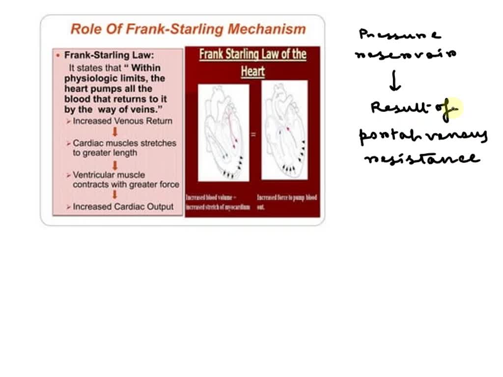 SOLVED What is the difference between pressure reservoirs and blood