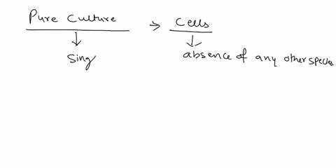 why-is-it-important-to-obtain-a-pure-culture-in-microbiology-96893