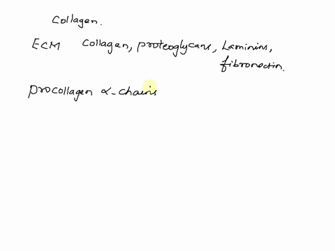 cells-export-collagen-to-the-extracellular-matrix-as-which-of-the-following-choose-one-a-single-stranded-collagen-polypeptide-chain-triple-stranded-collagen-molecule-procollagen-a-precursor-06305