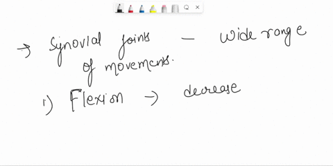 what-terms-describe-movements-possible-at-synovial-joints-91915