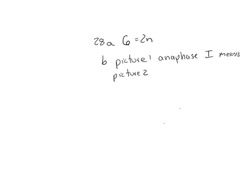 28all-ofthe-following-cells-shown-in-various-stages-of-mito-sisand-meiosiscome-from-the-same-rare-species-of-plant-what-is-the-diploid-number-of-chromosomes-in-this-plant-b-give-the-names-of-93303