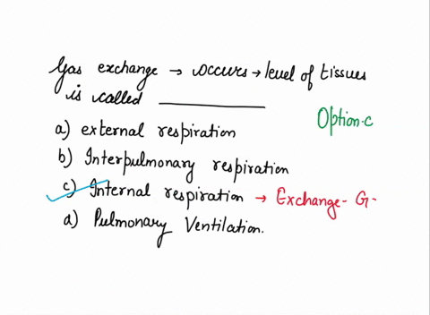gas-exchange-that-occurs-at-the-level-of-the-tissues-is-called-_________-a-external-respiration-b-in-21478