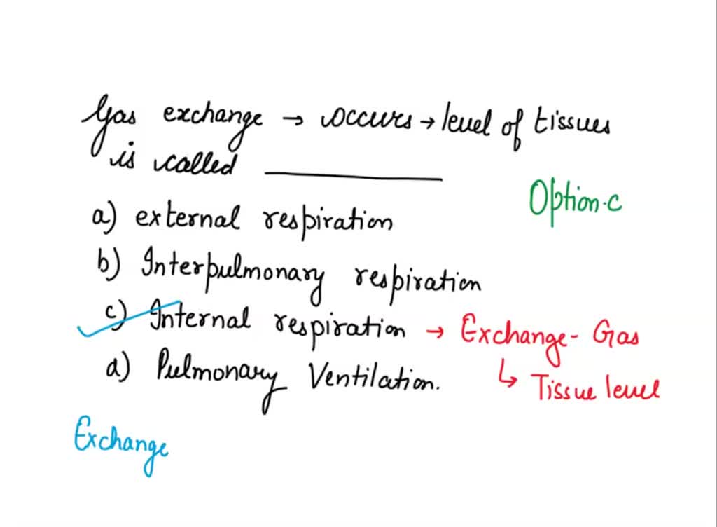 SOLVED: Perbedaan antara respirasi eksternal dan respirasi internal