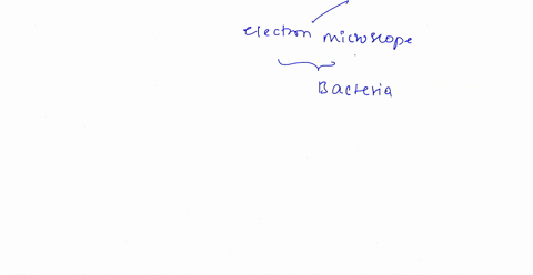 why-is-an-electron-microscope-useful-when-studying-bacteria-a-electrons-can-penetrate-through-the-ca-44255