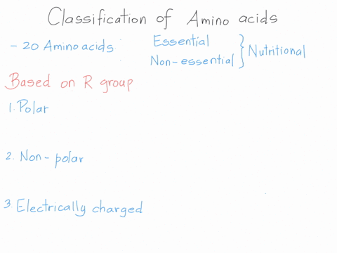 2-classify-the-amino-acids-as-polar-non-polar-basic-or-acidic-then-provide-1-characteristic-of-the-amino-acid-a-proline-b-serine-c-glycine-d-isoleucine-e-cysteine-f-glutamic-acid-g-methionin-94106