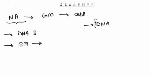 explain-how-dna-replication-is-used-to-make-base-sequencing-possible-with-sangers-method-and-the-ion-torrent-semi-conductor-method-09592