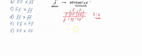 choose-the-cross-that-shows-a-121-genotypic-ratio-among-the-offspring-choose-the-best-answer-a-ff-x-ff-b-ff-x-ff-c-ff-x-ff-d-ff-x-ff-e-ff-x-ff-f-ff-x-ff-20352