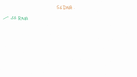 1-a-ssdna-virus-will-use-its-genome-as-a-template-to-directly-produce-mrna-ssrna-more-ssdna-dsdna-dsrna-2-a-ssdna-virus-uses-_____-from-the-host-reverse-transcriptase-mrna-ribosomes-dna-3-a-67261