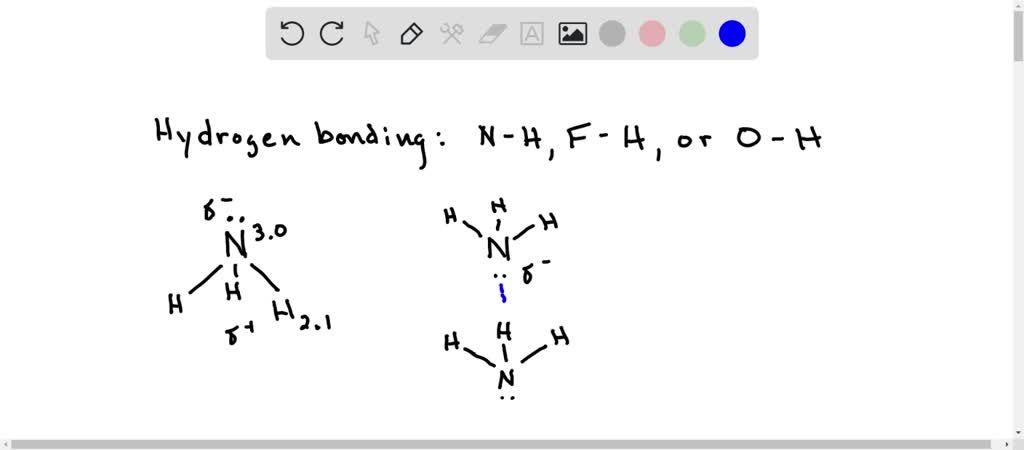 hydrogen bond in ammonia