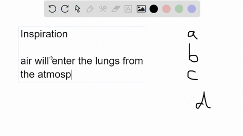 breath-in-question-4-inspiration-occurs-when-alveolar-pressure-is-greater-than-atmospheric-pressure-b-alveolar-pressure-is-equal-to-atmospheric-pressure-atmospheric-pressure-is-greater-than-33134