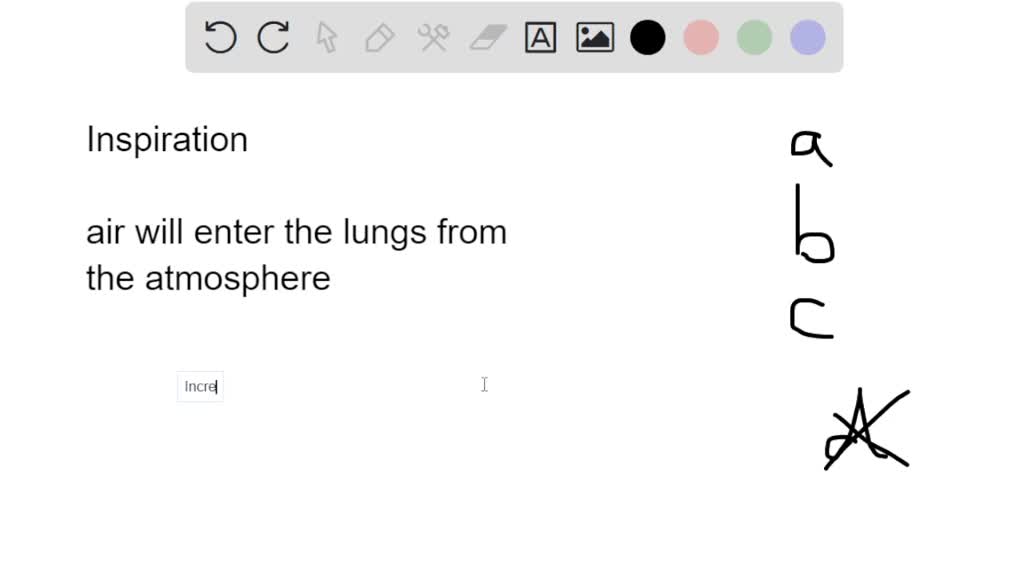 SOLVED breath in" Question 4 Inspiration occurs when Alveolar