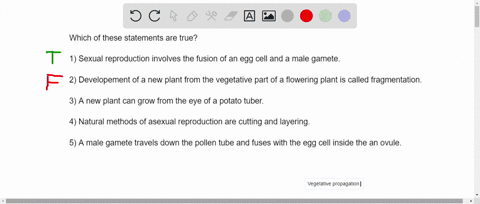 c-write-true-or-false-correct-the-false-statements1-sexual-reproduction-involves-the-fusion-of-an-egg-cell-and-a-male-game2-the-development-of-a-new-plant-from-the-vegetative-part-of-a-flowe-66183