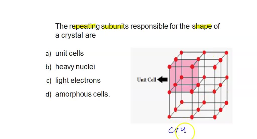 SOLVED: The repeating subunits that are responsible for the shape of a ...