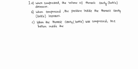 understanding-lung-mechanics-post-lab-questions-1-when-you-squeezed-the-bottle-you-were-compressing-the-thoracic-cavity-model-much-as-you-would-for-the-heimlich-maneuver-a-when-compressed-wh-28403