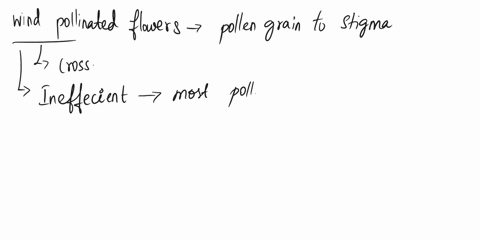 wind-pollinated-flowers-produce-large-amount-of-pollen-grains-give-reason-06157