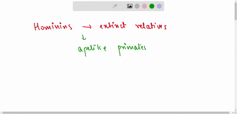 what-is-a-hominin-why-did-hominins-evolve-from-an-apelike-primate-what-were-the-first-hominins-what-was-the-evolutionary-fate-of-the-first-hominins-10437
