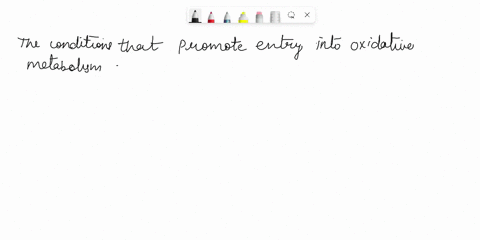 pyruvate-dehydrogenase-is-the-entry-point-for-the-glycolylic-product-pyruvate-into-oxidative-metabolism-the-citric-acid-cycle-and-oxidalive-phosphorylation-because-occupies-such-an-important-34438
