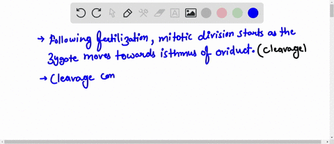 which-of-the-following-lists-the-stages-of-early-animal-development-in-the-correct-order-a-blastula-embryo-gastrula-zygote-b-gastrula-blastula-embryo-zygote-c-gastrula-blastula-embryo-zygote-69742