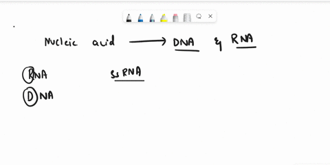 a-molecule-of-nucleic-acid-has-25-c25-g20-aand-30-t-this-molecule-consists-of-double-stranded-dna-single-stranded-dna-single-stranded-rna-double-stranded-rna-62731