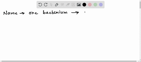 name-one-bacterium-capable-of-carrying-out-each-of-these-processes-like-nitrogen-fixation-and-nitrification-88647